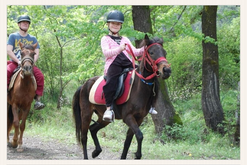 AKBUK HORSE SAFARI