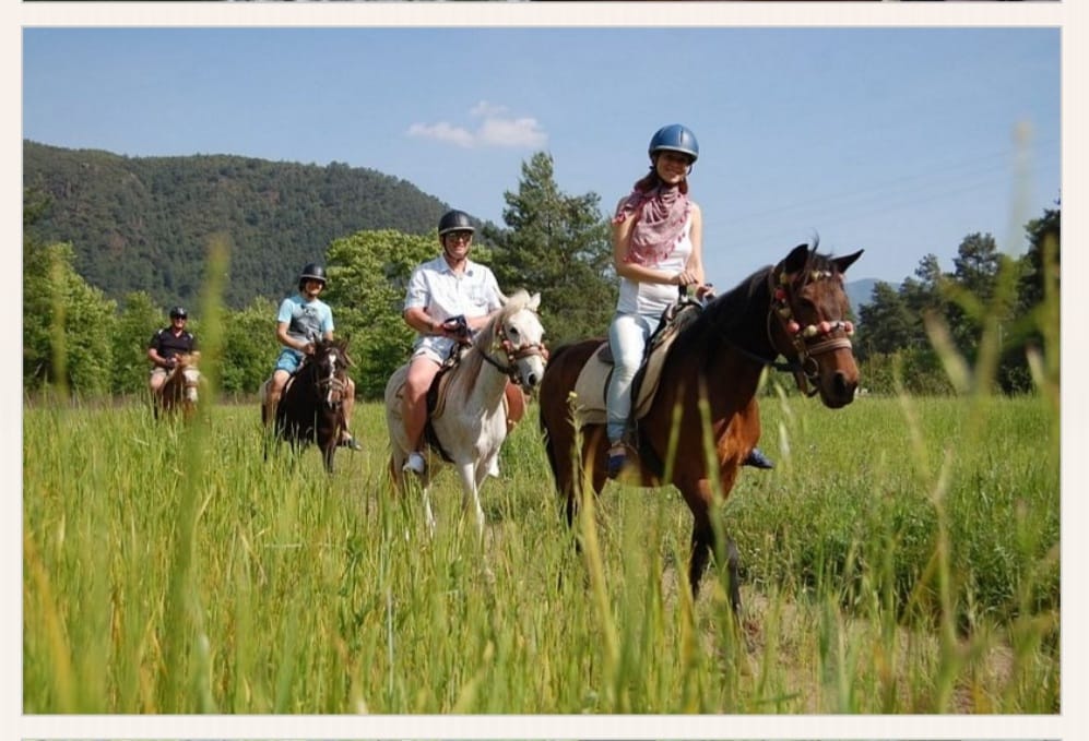 Didim Horse Safari | Experience Türkiye’s Countryside on Horseback