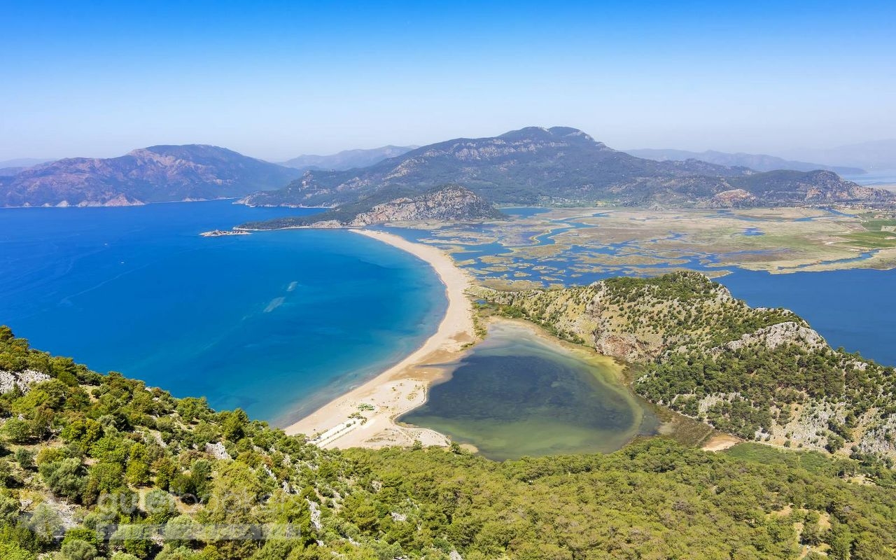Dalyan Tour von Didim – Erleben Sie Natur, Geschichte und Caretta Caretta Schildkröten