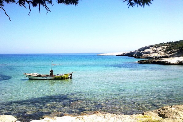 Codzienne wycieczki z Akbuk Didim