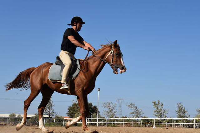 Reitsportverein