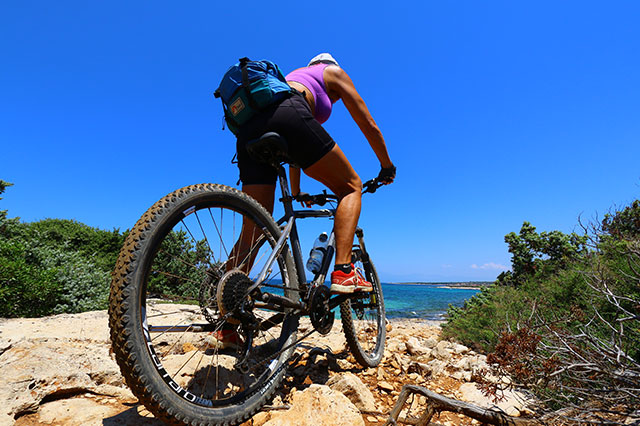 Bicycle Routes