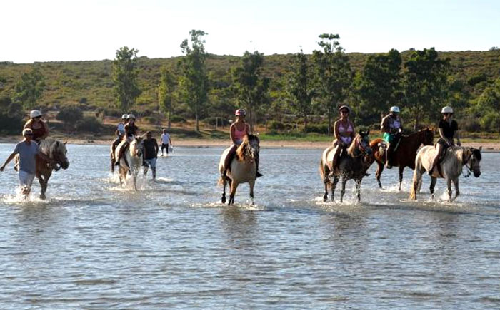 Experience A Didim Horse Safari