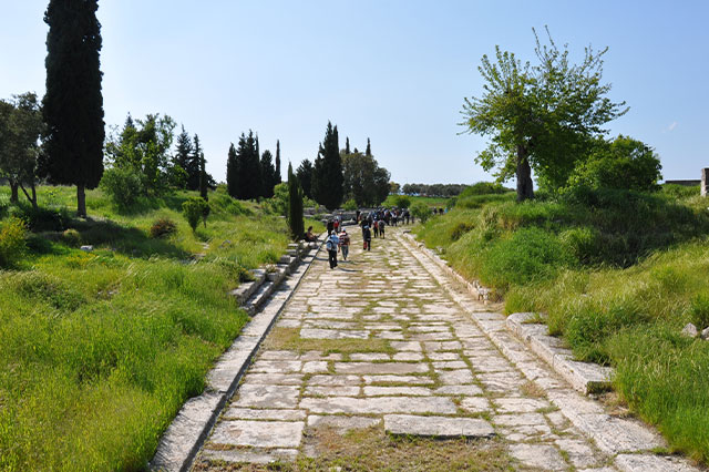 Kutsal Yol