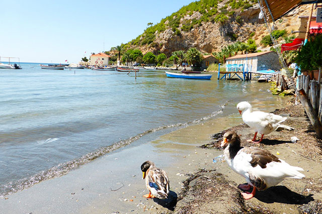 Karine i Doğanbey