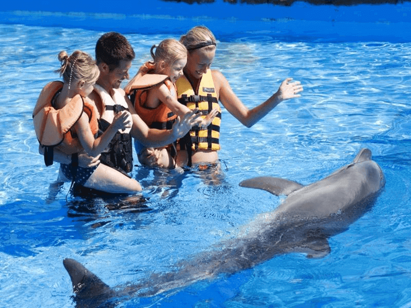 Didim zum Adaland Wasserpark und Delfinshow in Kuşadası