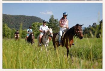 Didim Horse Safari | Experience Türkiye’s Countryside on Horseback
