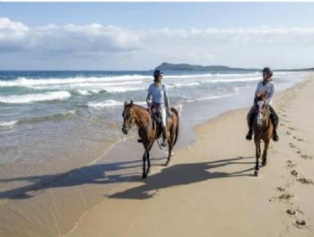 Wycieczki do Didim dla par | Romantyczne przeżycia i wspólne przygody