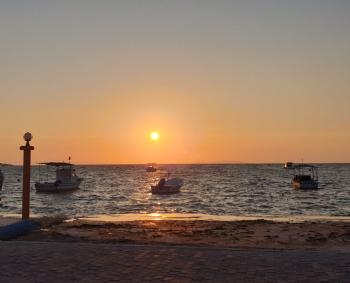 Family, Couples & Group Specific