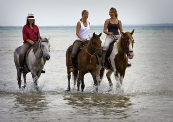 Safari Konna z Altinkum | Przygoda wśród natury z Pegasus Farm