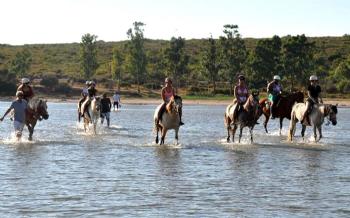 Didim Horse Safari