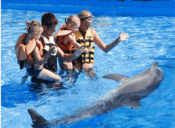 Didim Çıkışlı Kuşadası'na Adaland Su Parkı ve Yunus Gösterisi Gezisi