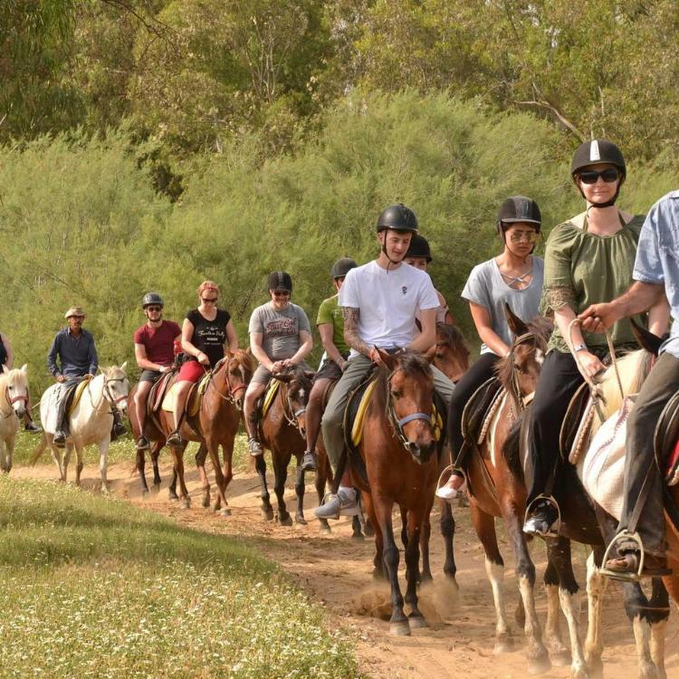 Didim Pferdesafari Tour