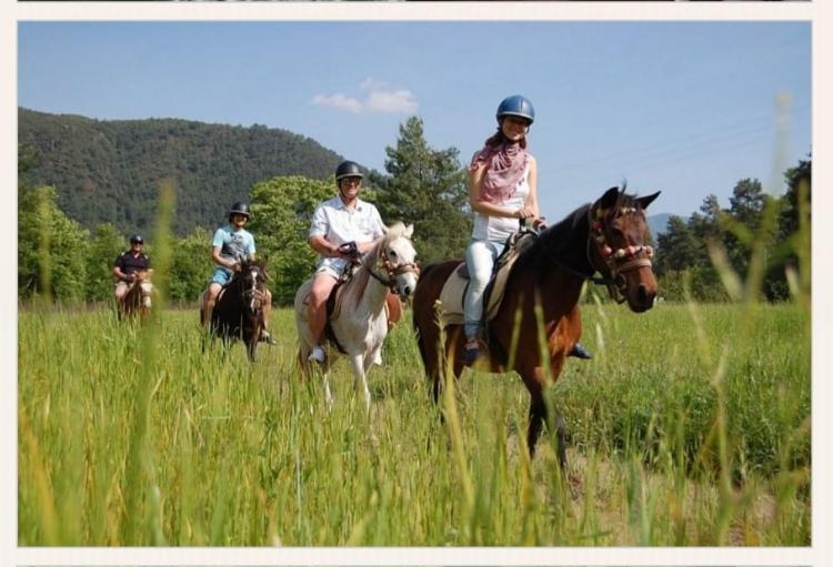 Didim Horse Safari | Erleben Sie die türkische Landschaft zu Pferd