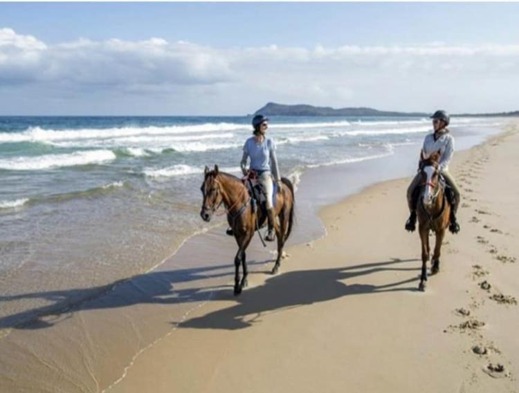 Excursions in Didim for Couples | Romantic Experiences and Shared Adventures