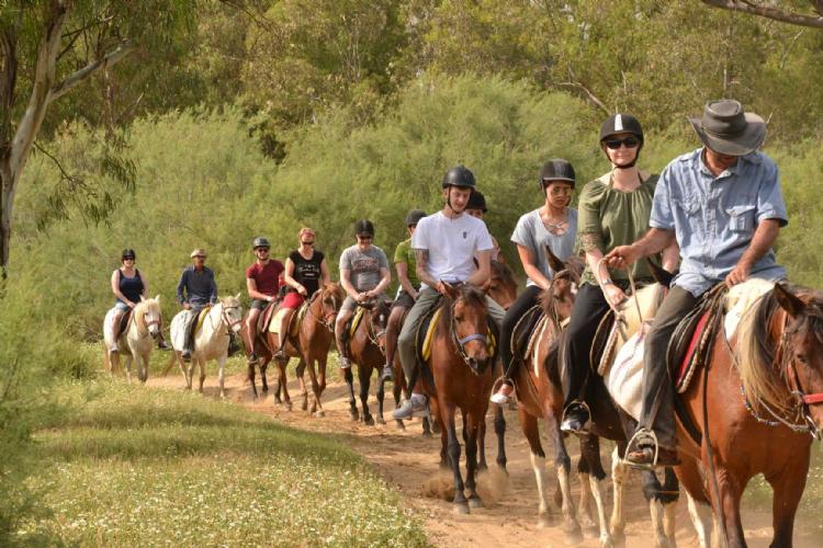 Didim Horse Safari