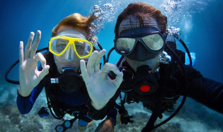 Scuba Diving for Beginners in Didim 2024