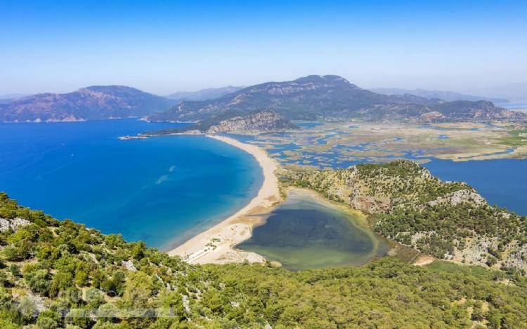 Didim’den Dalyan Turu – Doğa, Tarih ve Caretta Caretta Kaplumbağalarını Keşfedin