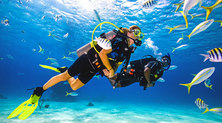 Erleben Sie das Tauchen in Didim - Tauchen Sie in die Unterwasserwelt von Didim ein