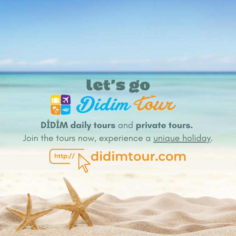 Private Transfers from Bodrum Airport to Duja Didim Hotel