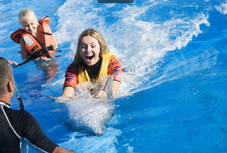 Didim Dolphin Show: A Day Full of Fun and Excitement!