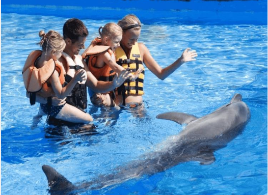 Ausflug von Didim zum Kuşadası Adaland Wasserpark und Delfinshow